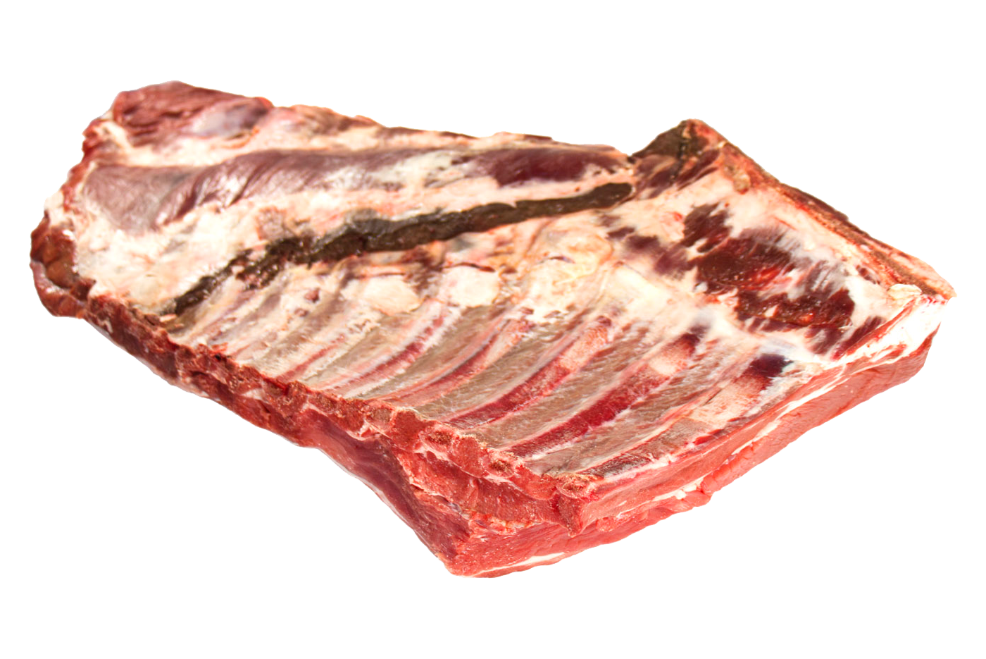 Costilla